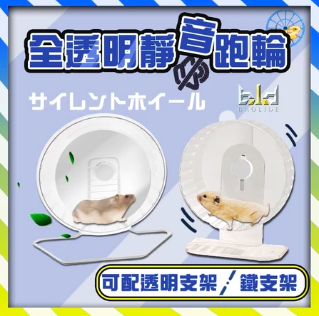 倉鼠運動嘉年華5