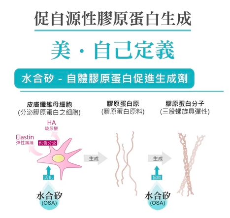 華莘生醫 1.2 ok