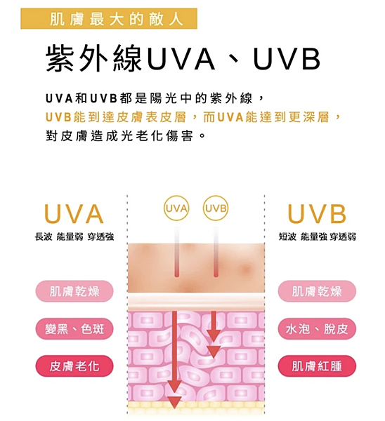 2025夏日強效防曬評比1.3 2025夏日強效防曬評比1.3