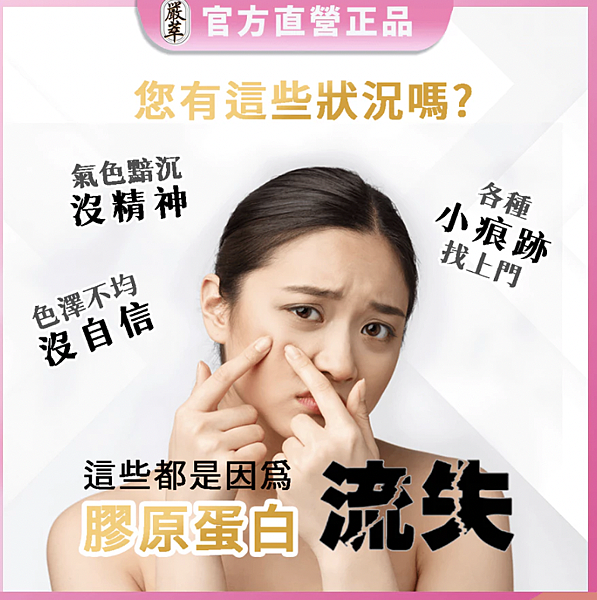 美肌必勝膠原蛋白2.2 美肌必勝膠原蛋白2.2