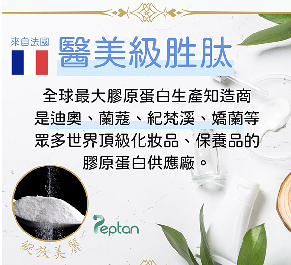 美肌必勝膠原蛋白4.2 美肌必勝膠原蛋白4.2