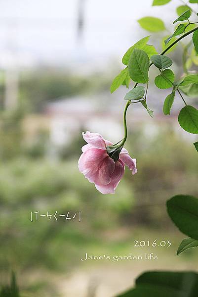 01.jpg 01.jpg