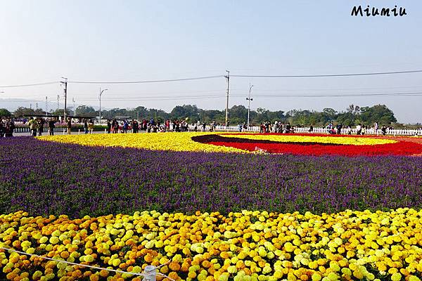 2012-11-29花海