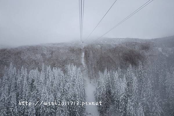 DSCF3427_副本.jpg DSCF3427_副本.jpg