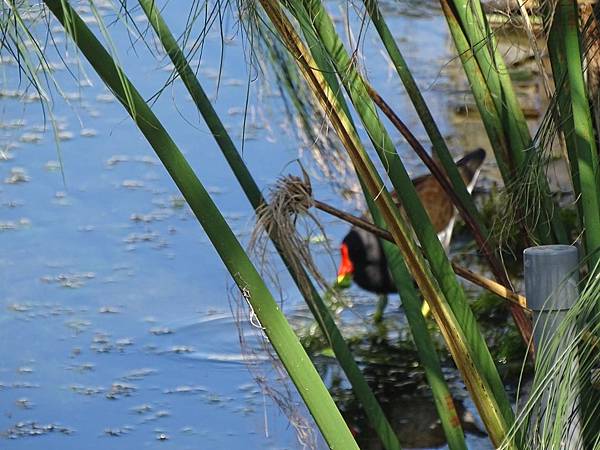 DSC04717 (1024x768).jpg DSC04717 (1024x768).jpg