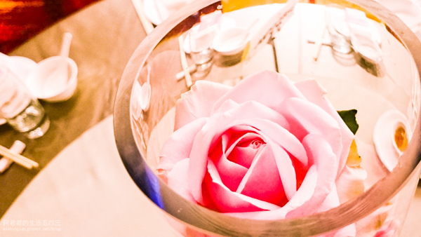 DSC_0005.jpg DSC_0005.jpg