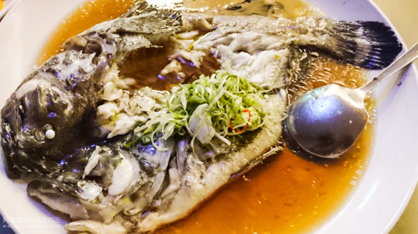 DSC_0026.jpg DSC_0026.jpg