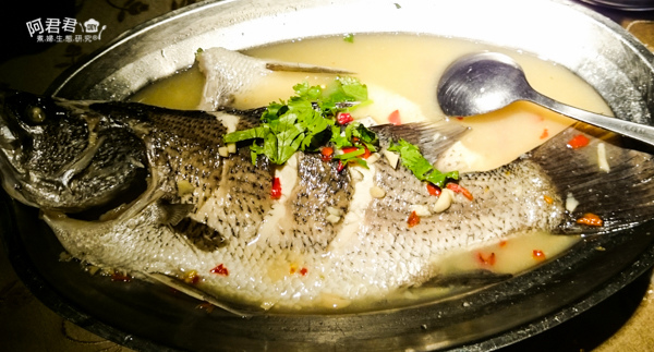 DSC_0021.jpg DSC_0021.jpg