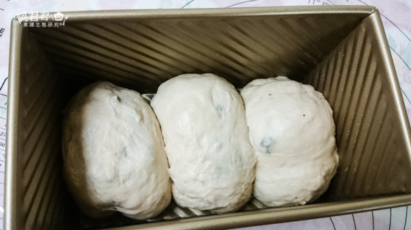 DSC_0045.jpg DSC_0045.jpg