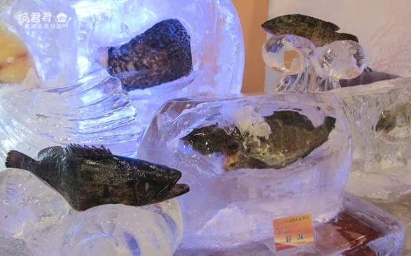 全國優質石斑魚頒獎典禮_阿君君-8614.jpg 全國優質石斑魚頒獎典禮_阿君君-8614.jpg