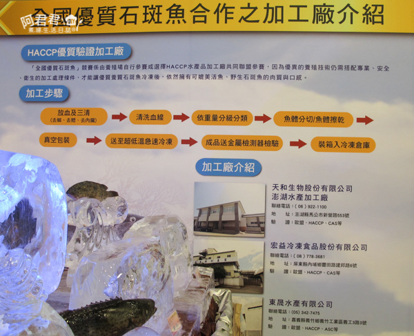 全國優質石斑魚頒獎典禮_阿君君-8615.jpg 全國優質石斑魚頒獎典禮_阿君君-8615.jpg