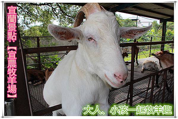 422_副本 422_副本