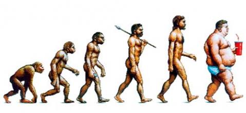 fat_evolution.jpg