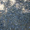 IMG_3936.JPG