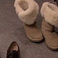 snapshot20110226201151.jpg