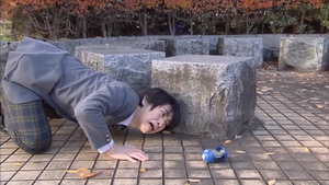 snapshot20101205151104.jpg