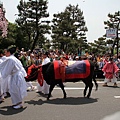 IMG_6891.JPG