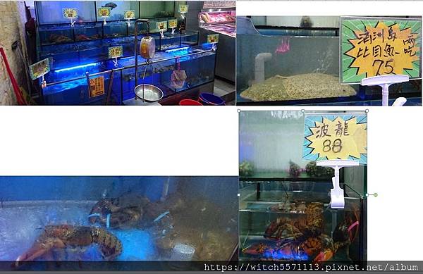 富基改11.JPG 富基改11.JPG