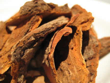 sassafras whole root bark.jpg