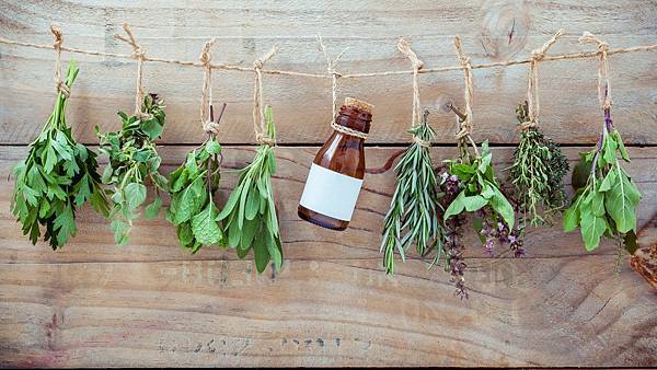 herbs-tied-up-while-hanging-on-rope-767965571-5c3a712f46e0fb0001c80410.jpg