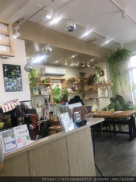 [桃園市區美食] 書帶蕨VITTARIA CAFE ＠ 綠意