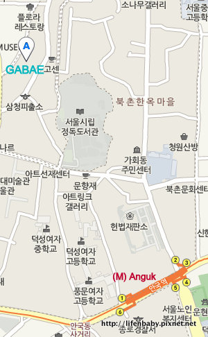 GABAE map