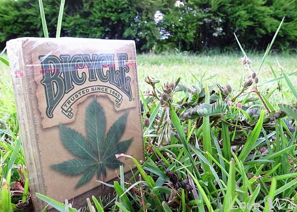Bicycle Hemp Deck03 Bicycle Hemp Deck03