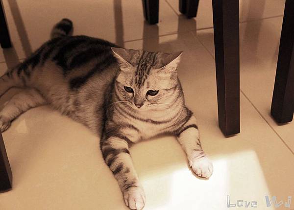 13.11.02 CAT03 13.11.02 CAT03