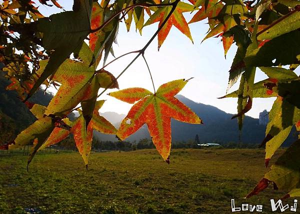 2013_11_30 石門水庫12