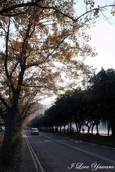 2014_01_01 石門水庫01.jpg 2014_01_01 石門水庫01.jpg