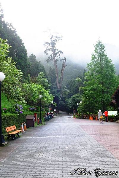 2014_06_21 明池遊樂園47