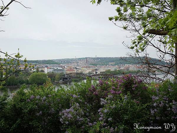 荒廢的高堡 20 荒廢的高堡 20