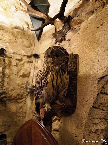 地窖烤鴨餐02 地窖烤鴨餐02