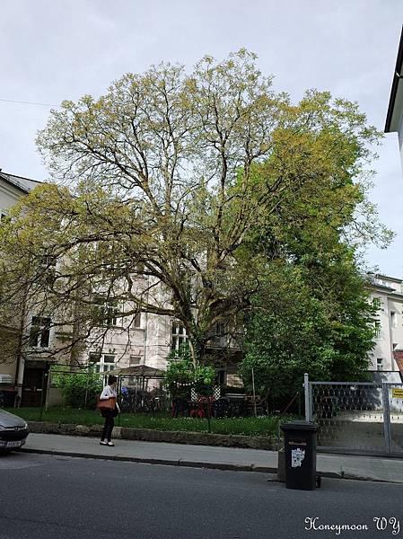 真善美園區02 真善美園區02