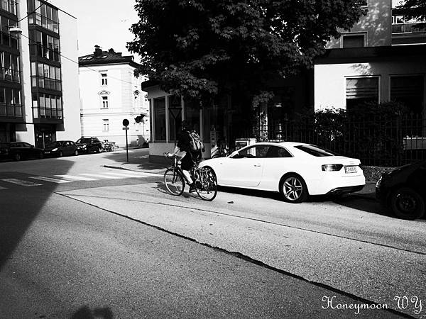 真善美園區06 真善美園區06