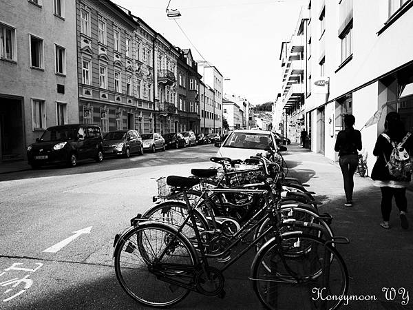 真善美園區08 真善美園區08