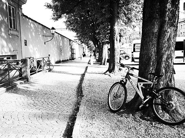 真善美園區12 真善美園區12