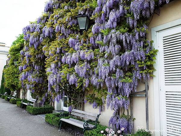 真善美園區14 真善美園區14