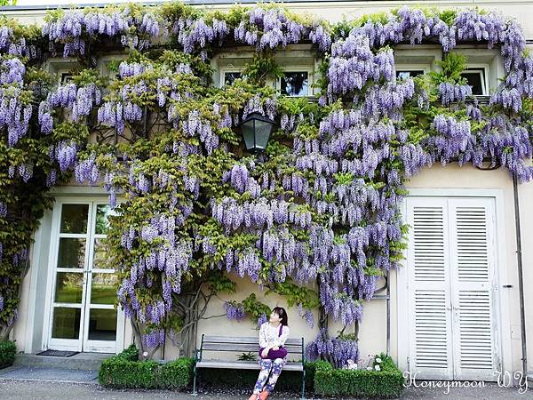 真善美園區15 真善美園區15