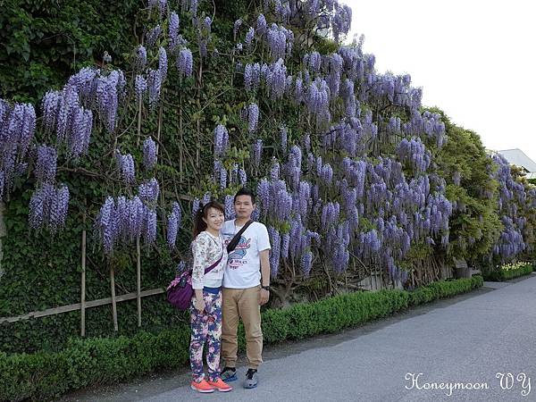 真善美園區27 真善美園區27