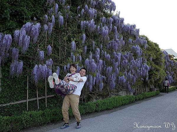 真善美園區28 真善美園區28