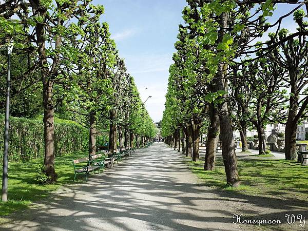 真善美園區36 真善美園區36