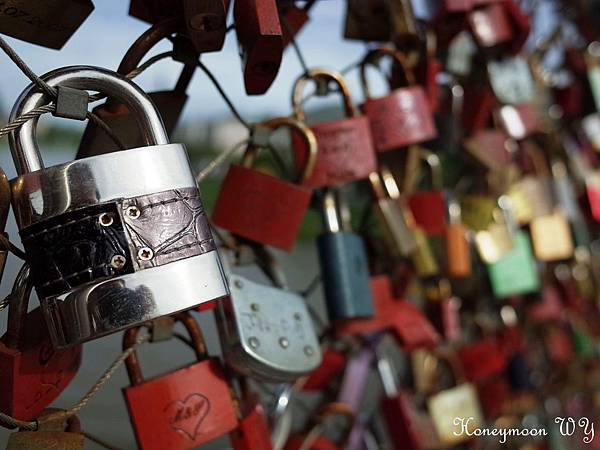 真善美園區48 真善美園區48