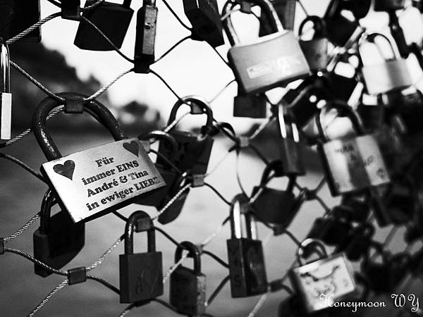 真善美園區51 真善美園區51