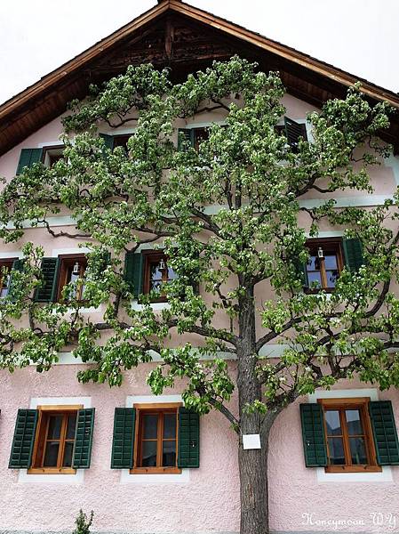 哈斯達特湖區 HALLSTATT08 哈斯達特湖區 HALLSTATT08