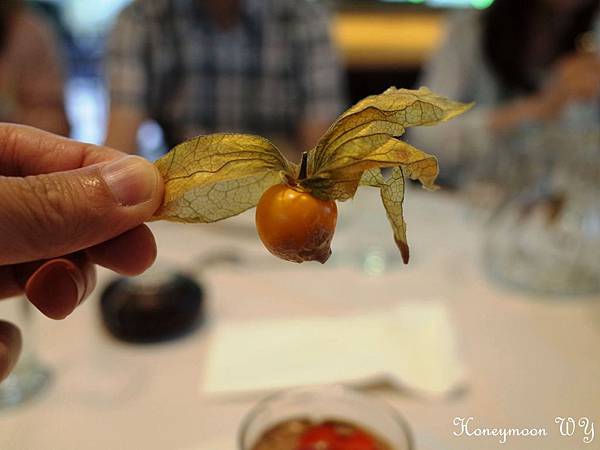 奧地利炸豬排餐10 奧地利炸豬排餐10
