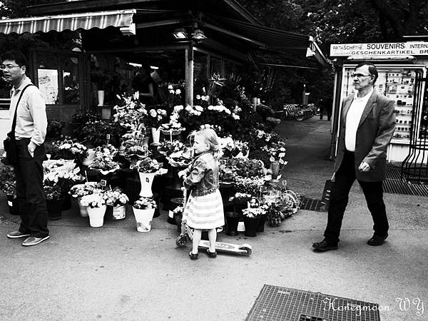 貝維帝爾宮03 貝維帝爾宮03