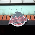 BISON 2016.02.21 01.JPG