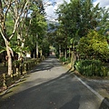 林田山15.JPG