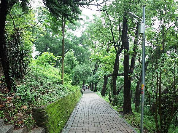 2016-0501 苗栗彩虹隧道 01 2016-0501 苗栗彩虹隧道 01